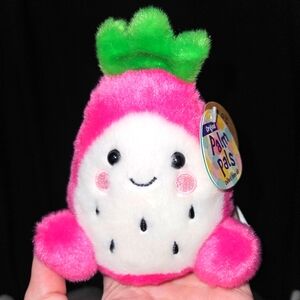 NWT Rhys The Dragonfruit Palm Pals Cravings Squad